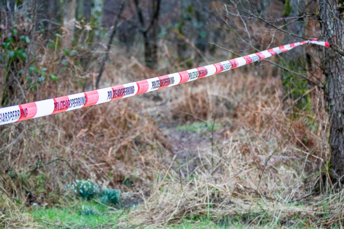 Traurige Entdeckung im Harz! Nahe der A36 wurde eine Leiche gefunden. (Symbolbild)