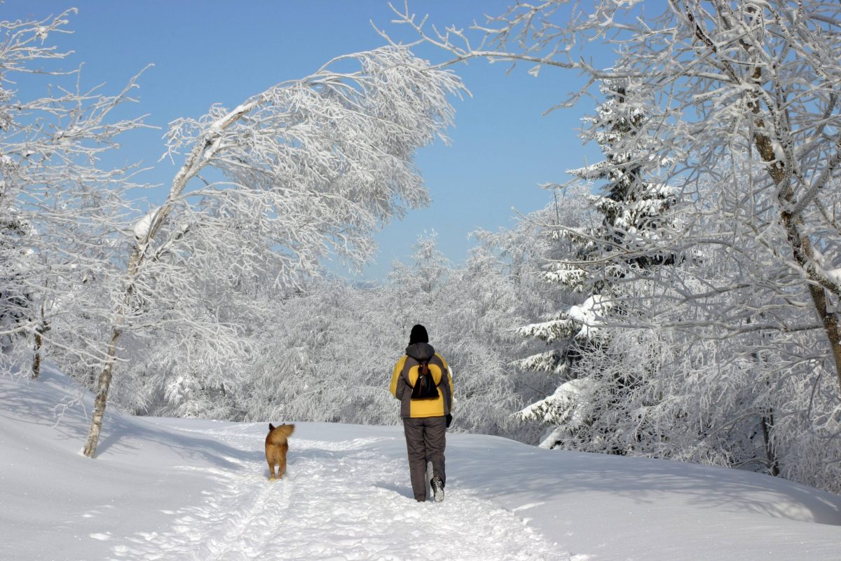 Gibt es noch Hoffnung auf Schnee im Januar in Niedersachsen und im Harz? Wetter-Experte Dominik Jungs Einschätzung ist eindeutig. (Archivbild)