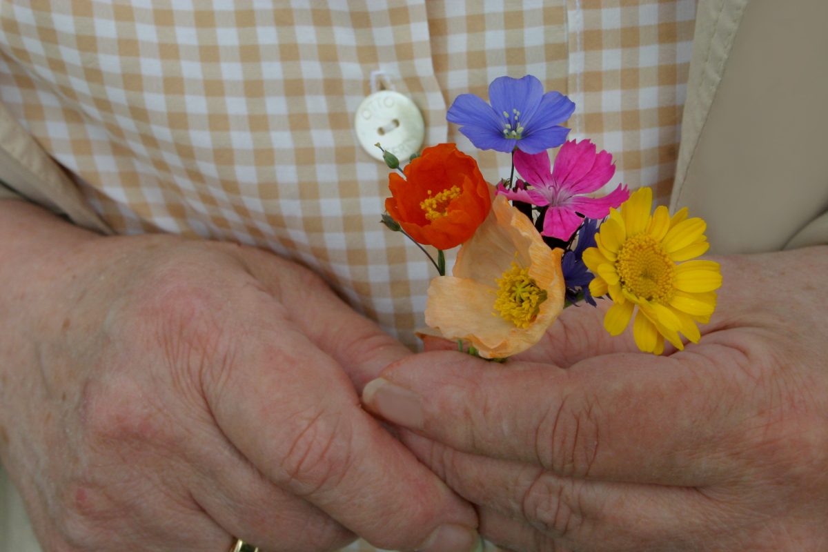Eine Seniorin wollte einen Blumenstrauß für ihre Schwiegertochter holen – was ihr dann passierte, berührt viele! (Symbolbild)