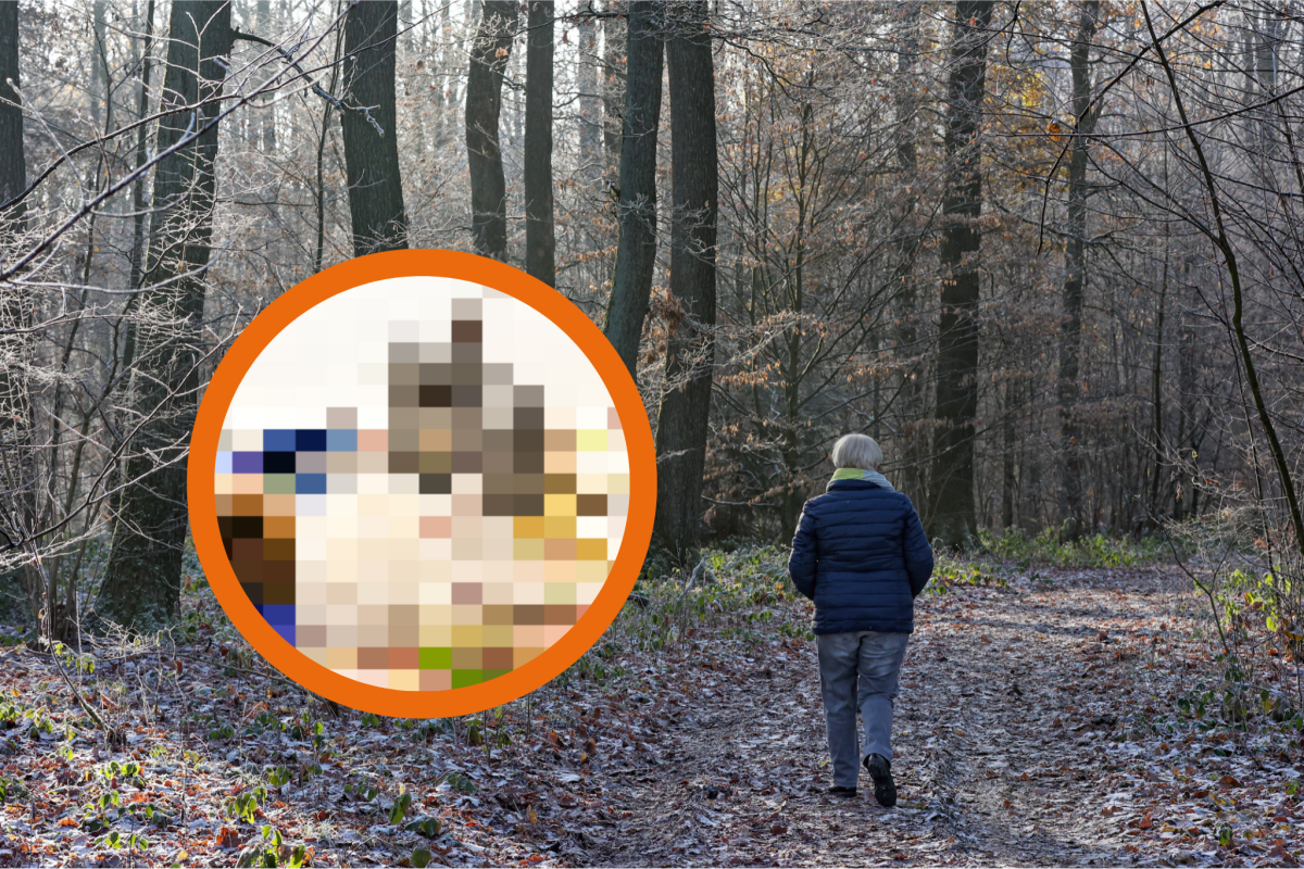 Traurige Entdeckung in einem Wald in Salzgitter! (Symbolbild/Montage)