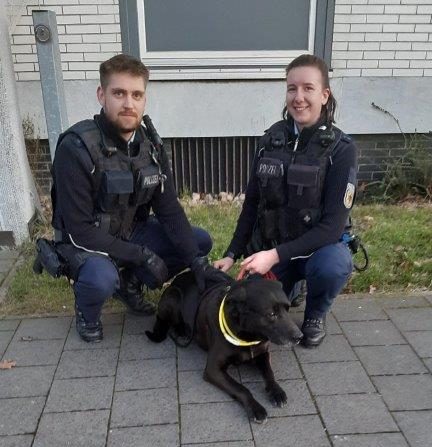 Die Polizei kümmerte sich liebevoll um den Labrador! 