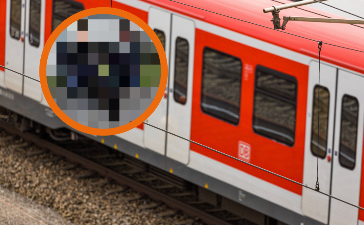 Blinder Passagier an Bord einer Regionalbahn zwischen Salzgitter und Braunschweig! (Symbolbild/Montage)