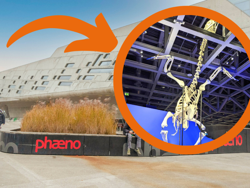 Wolfsburg: Mega-Huhn im Phaeno! Gigantisches Skelett mit trauriger Mission