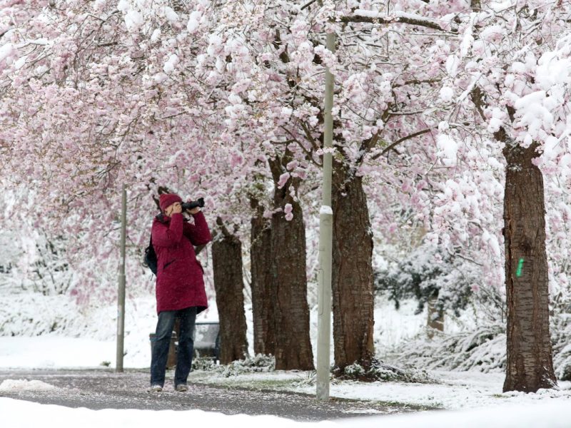 Wetter in Niedersachsen: Spätwinter-Comeback? „Wird sich brachial bemerkbar machen“