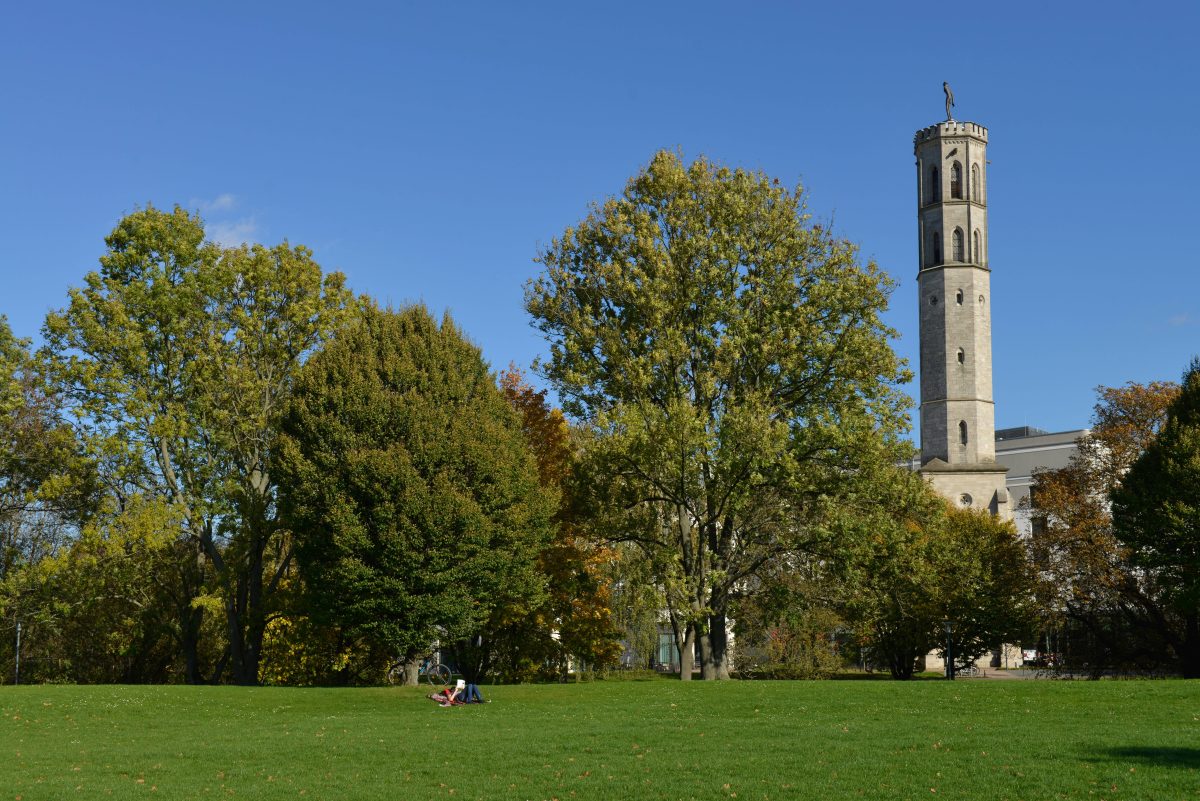 Die Stadt Braunschweig arbeitet an einer neuen Satzung für Park- und Grünanlagen. Eine Sache könnte zukünftig verboten werden. (Archivbild)