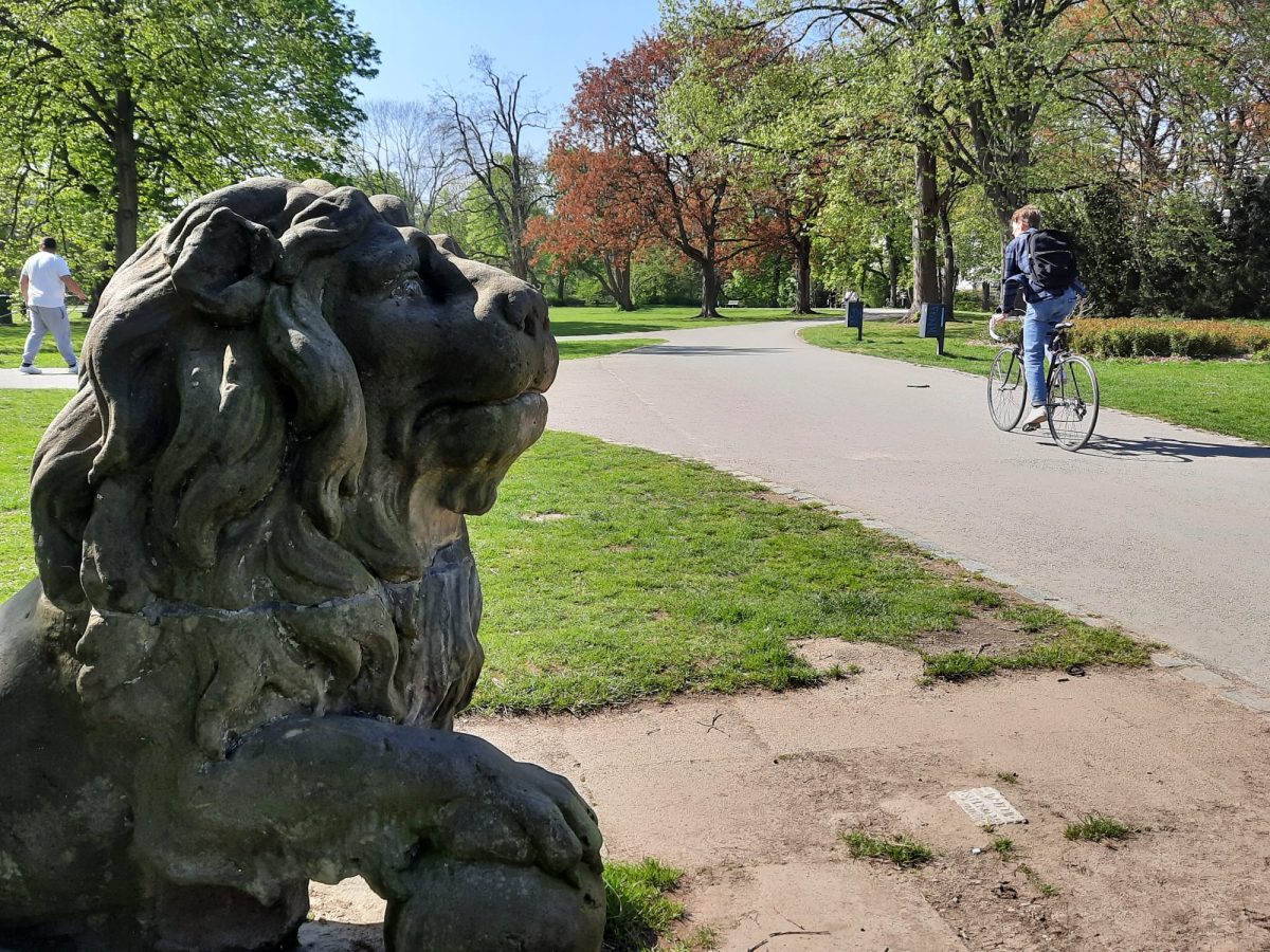 Eigentlich sollten bald strengere regeln in Braunschweigs Parks gelten – die Pläne müssen jetzt aber offenbar entschärft werden.