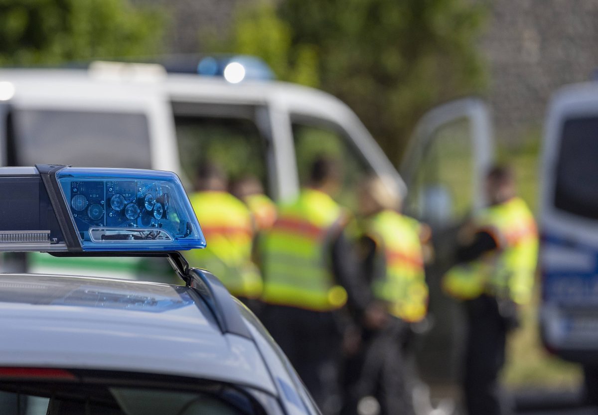 Einige Anwohner haben aus einem Waldstück in Goslar im Harz Knallgeräusche gehört. Die Polizei ist direkt ausgerückt. (symbolbild)