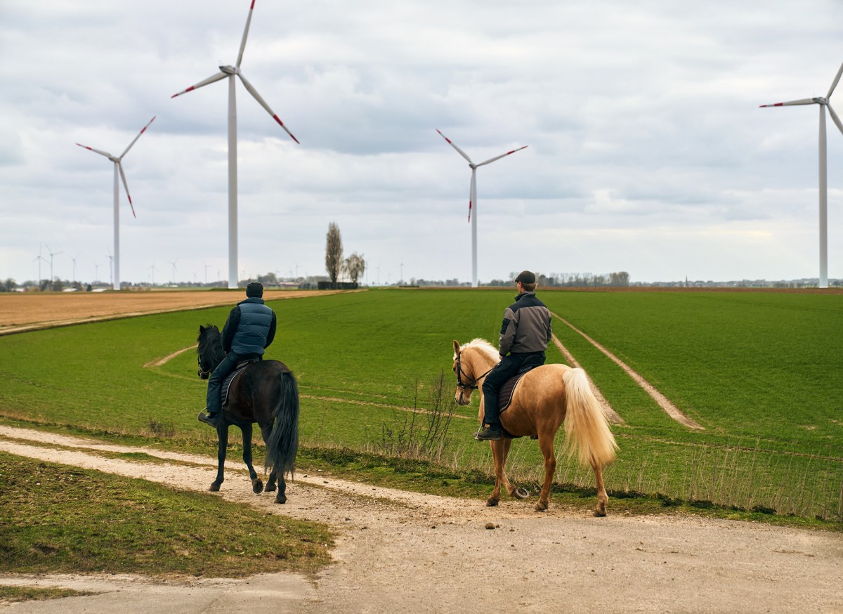 Das Thema Nachhaltigkeit wird bei der Volksbank Südheide-Isenhagener Land-Altmark besonders groß geschrieben.