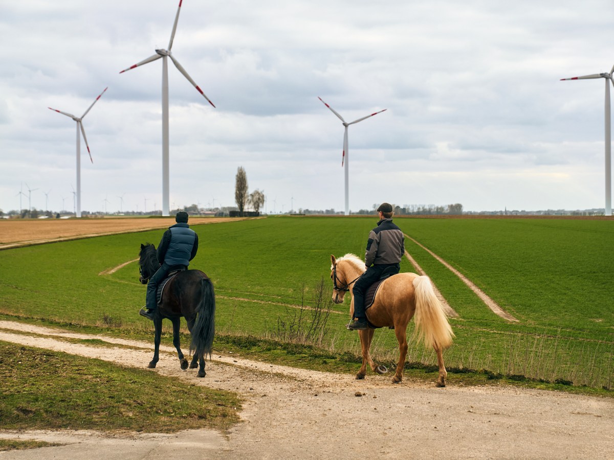 Das Thema Nachhaltigkeit wird bei der Volksbank Südheide-Isenhagener Land-Altmark besonders groß geschrieben.