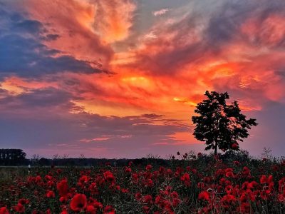 Markus aus Wolfsburg liefert mal wieder. Der passionierte Hobbyfotograf wird - zu Recht - für seine neuesten Aufnahmen gefeiert.