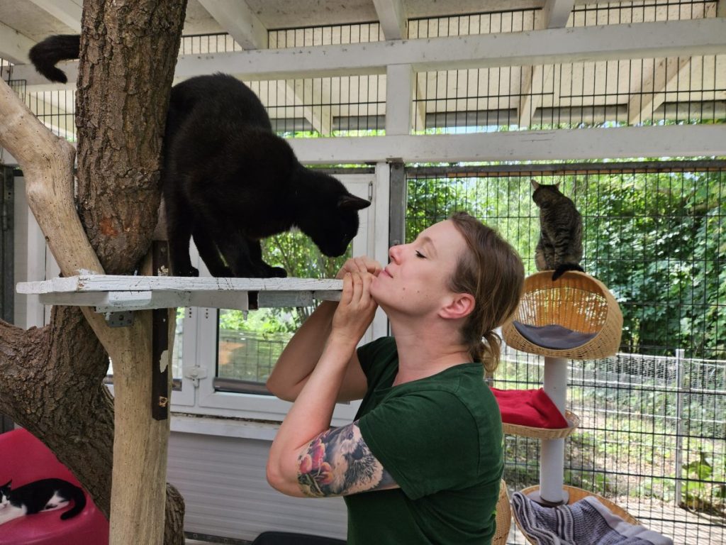 Die stellvertretende Tierheimleiterin Jennifer Semmler mit einer Katze im Katzenhaus