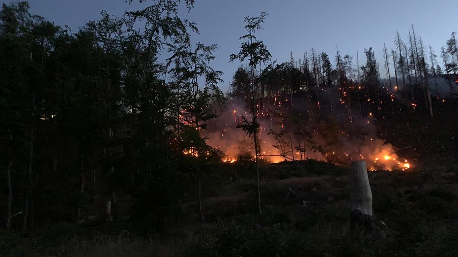 Harz Feuer