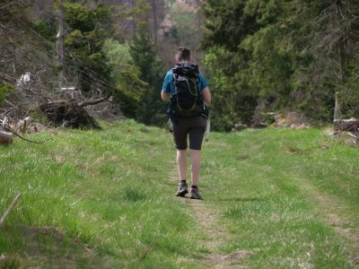 Wanderer im Harz