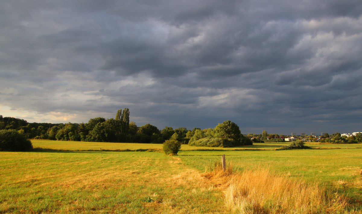 Dunkle Gewitterwolken über einem Feld