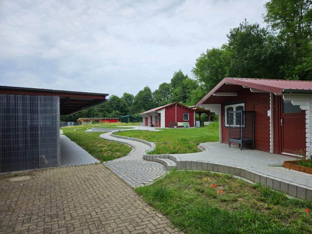 Das Tierheim Salzgitter muss erstmal für ein paar Tage schließen. 