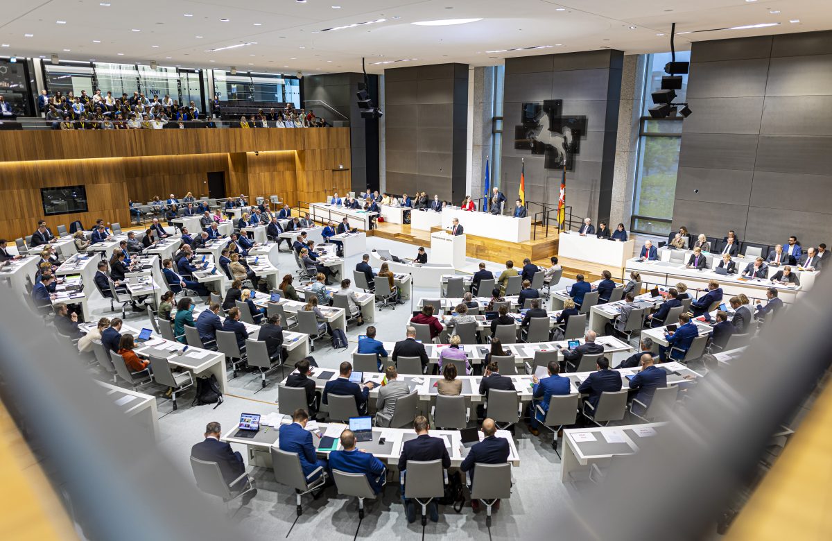 Das Bundesamt für Verfassungsschutz stuft die AfD als rechtsextremistischen Verdachtsfall ein. Auch einige Mitglieder des niedersächsischen Landtags stehen unter Beobachtung.