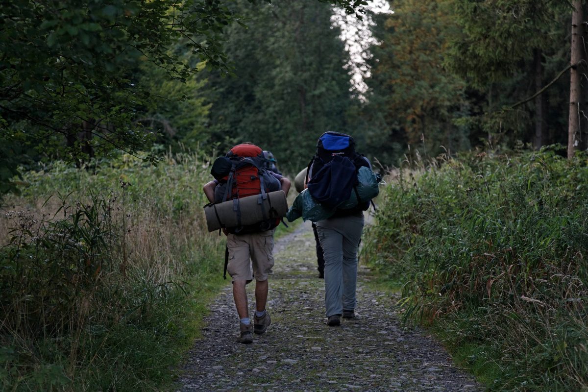 Im Harz gibt es wieder mal ein neues Highlight. Es verspricht nicht nur stramme Waden, sondern auch jede Menge Wissen über Flora und Fauna.