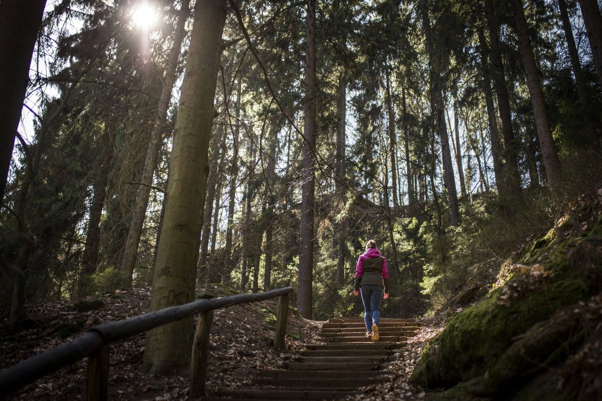 Eine Frau hat im Harz eine seltene Entdeckung gemacht. Sie ist fasziniert davon, was die Natur alles so drauf hat.