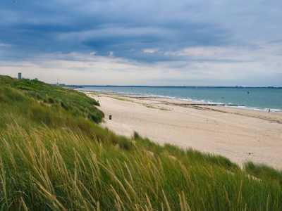 Urlaub an der Nordsee: Vogelgrippe im Anmarsch