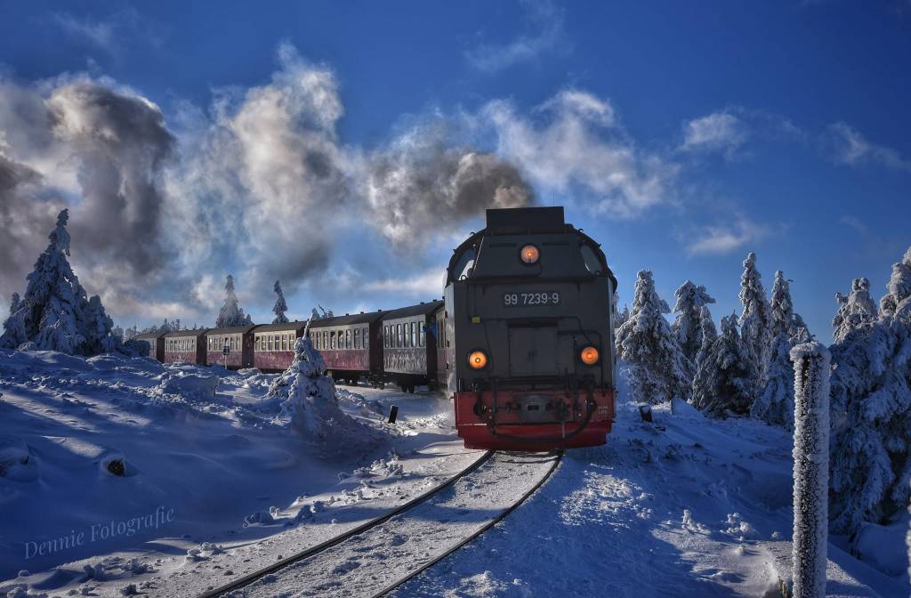 Harz 