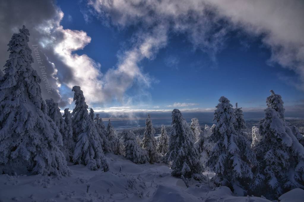 Harz 