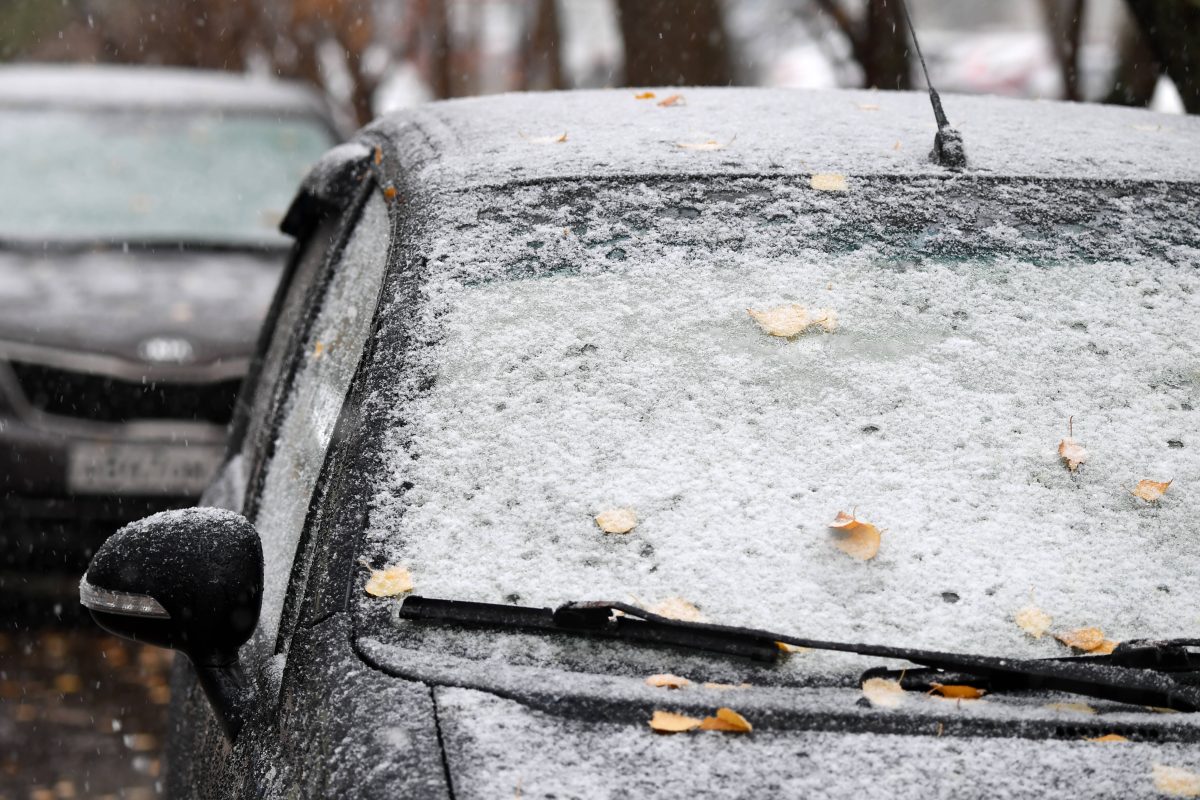 Wetter in Niedersachsen: Neuschnee-Bingo