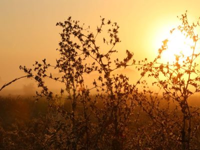 Wetter in Niedersachsen