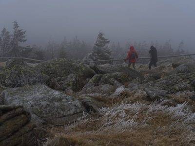 Wetter im Harz