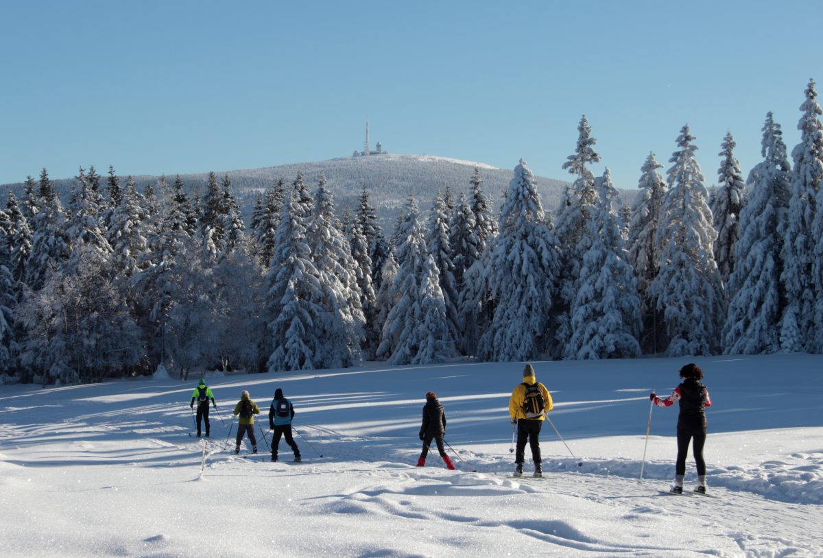 Pack die Skier ein! Im Harz kannst dich schon in einige Loipen stürzen. (Archivbild)