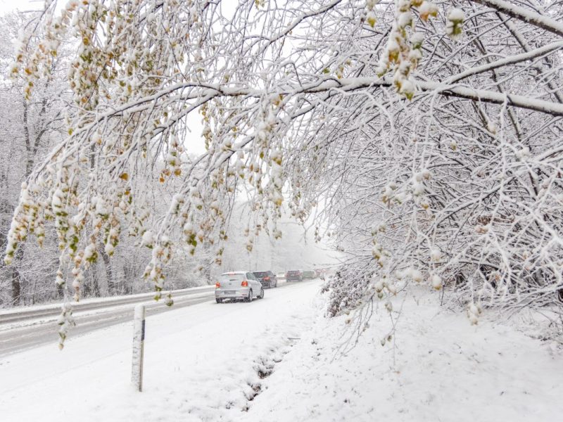 Wetter: Schnee-Chaos hat Deutschland im Griff ++ Zwei Tote ++ „Akute Lebensgefahr“ in Hessen!