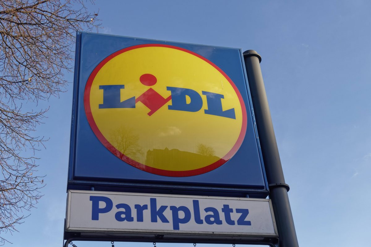 Luchs-Alarm auf einem Lidl-Parkplatz im Harz!