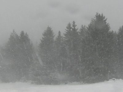 Das Wetter in Niedersachsen ist winterlich und verschneit. Was genau dich erwartet, kannst du hier nachlesen. (Symbolbild)