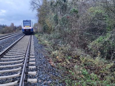Der stehende Zug und der abgerissene Zaun an der Bahnstrecke.
