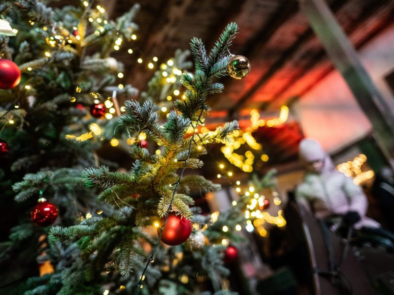 Weihnachtsmarkt im Harz findet HIER zum ersten Mal statt – diese Hallen dürfen sonst nur wenige betreten