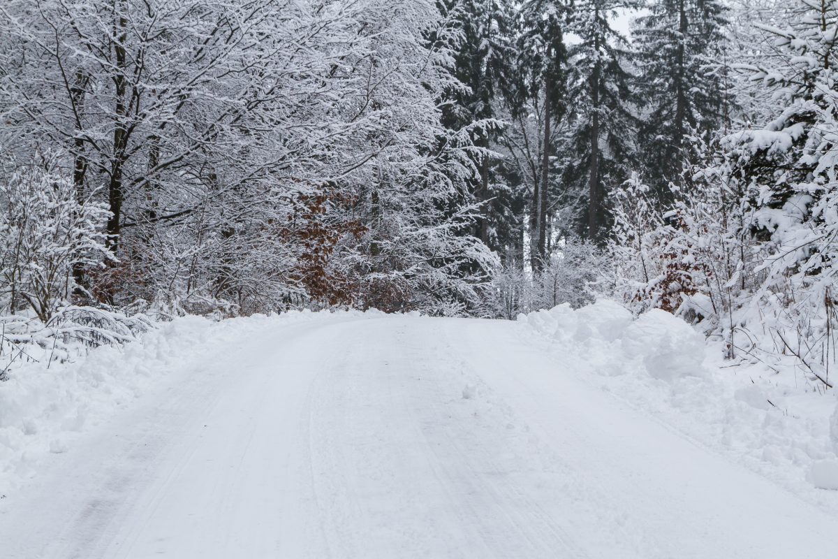 Wetter Harz