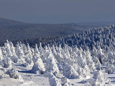 Harz: Wanderer in Eiseskälte vermisst! Großaufgebot im Einsatz