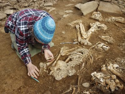 Archäologen haben bei Grabungen in Deutschland einen interessanten Fund gemacht.
