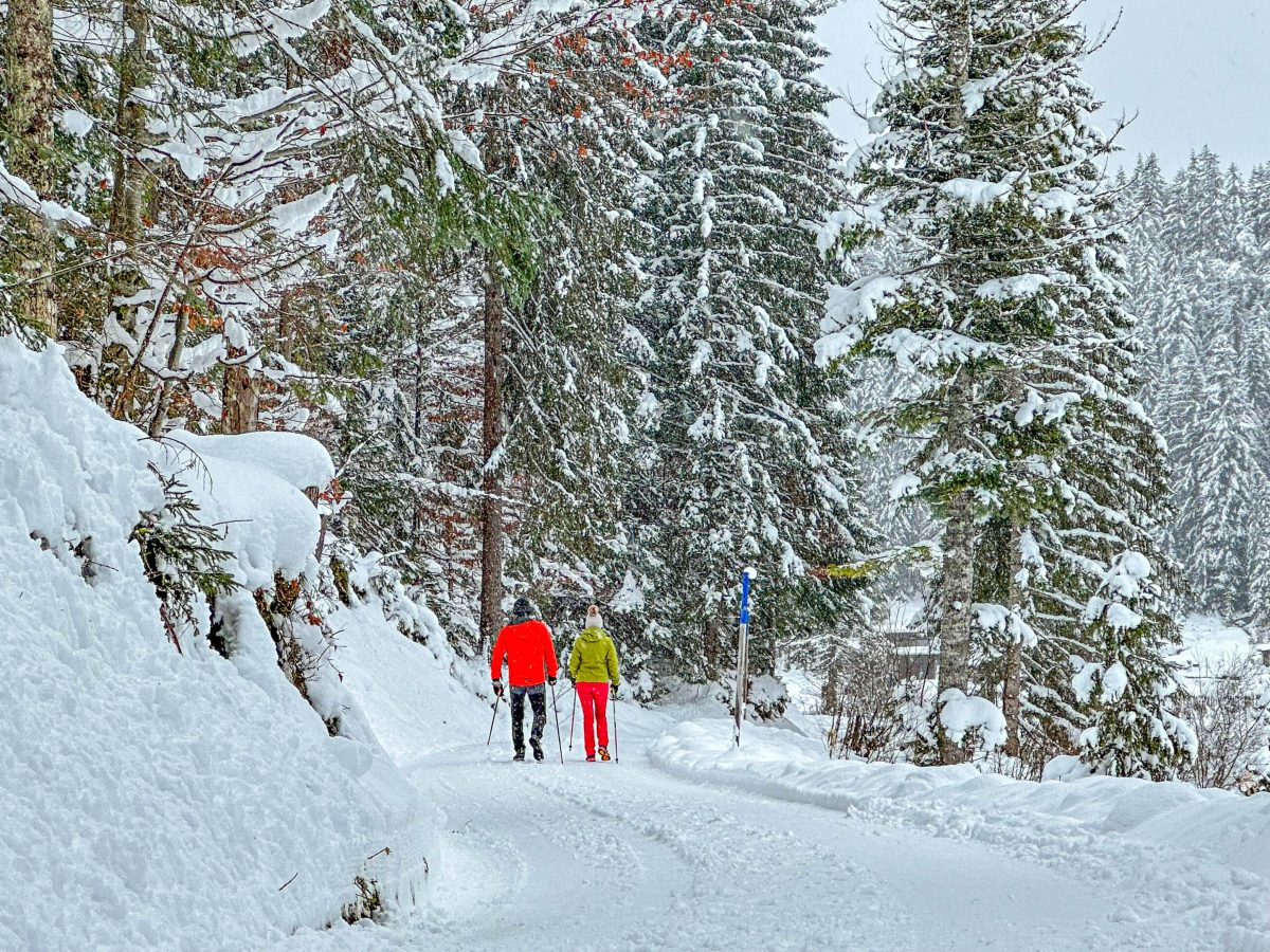Harz startet früh in die Ski-Saison! DIESE Nachricht dürfte Wintersport-Fans jubeln lassen