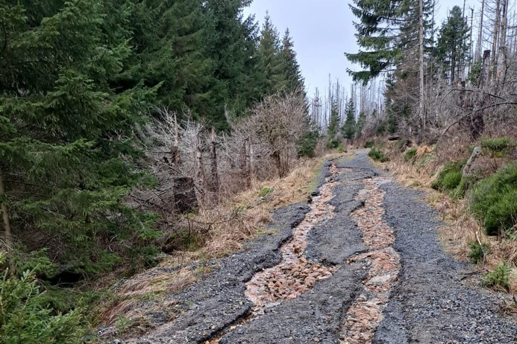 So sehen manche Wege im Harz derzeit aus.