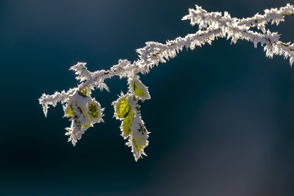 wetter niedersachsen