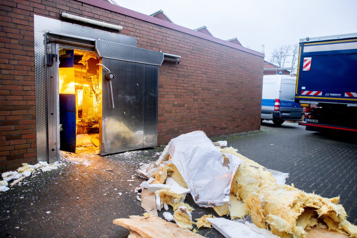 Mit einer großangelegten Drogen-Razzia im Nordwesten Niedersachsens und im Großraum Bielefeld hat die Polizei eine professionelle Marihuana-Indoor-Plantage auffliegen lassen.