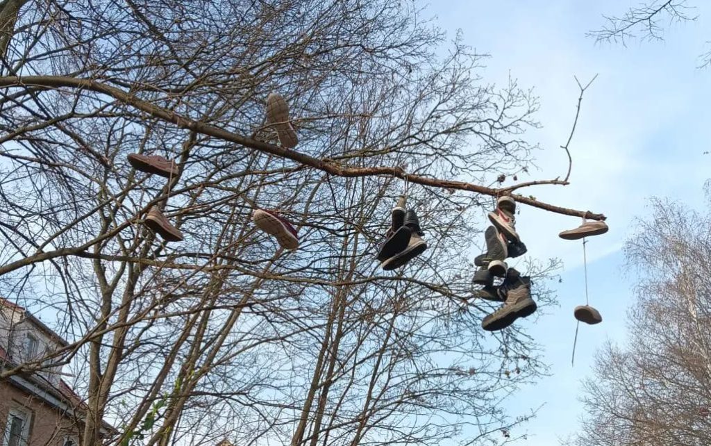 Der Schuhbaum am Braunschweiger Ringgleis ist kaum zu übersehen.