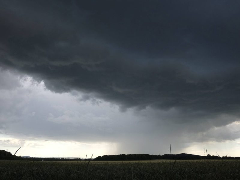 Wetter in Niedersachsen: Meteorologe mit bitterer Prognose – „Lauert bereits“