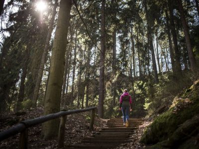Eine Frau hat im Harz eine skurrile Entdeckung gemacht.