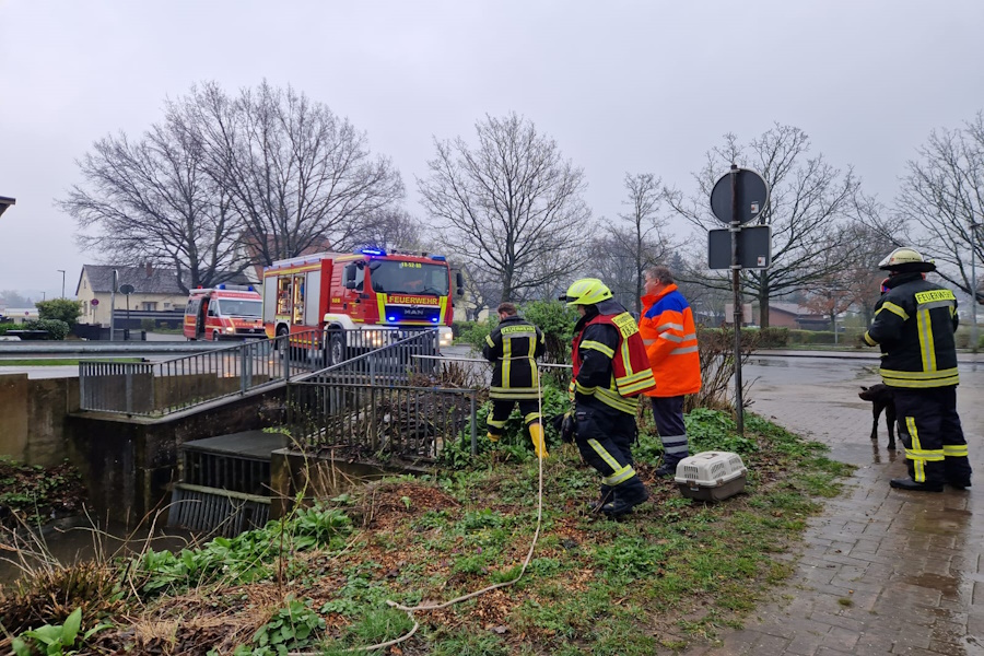 Die Feuerwehr war mit vier Fahrzeugen und elf Einsatzkräften vor Ort.