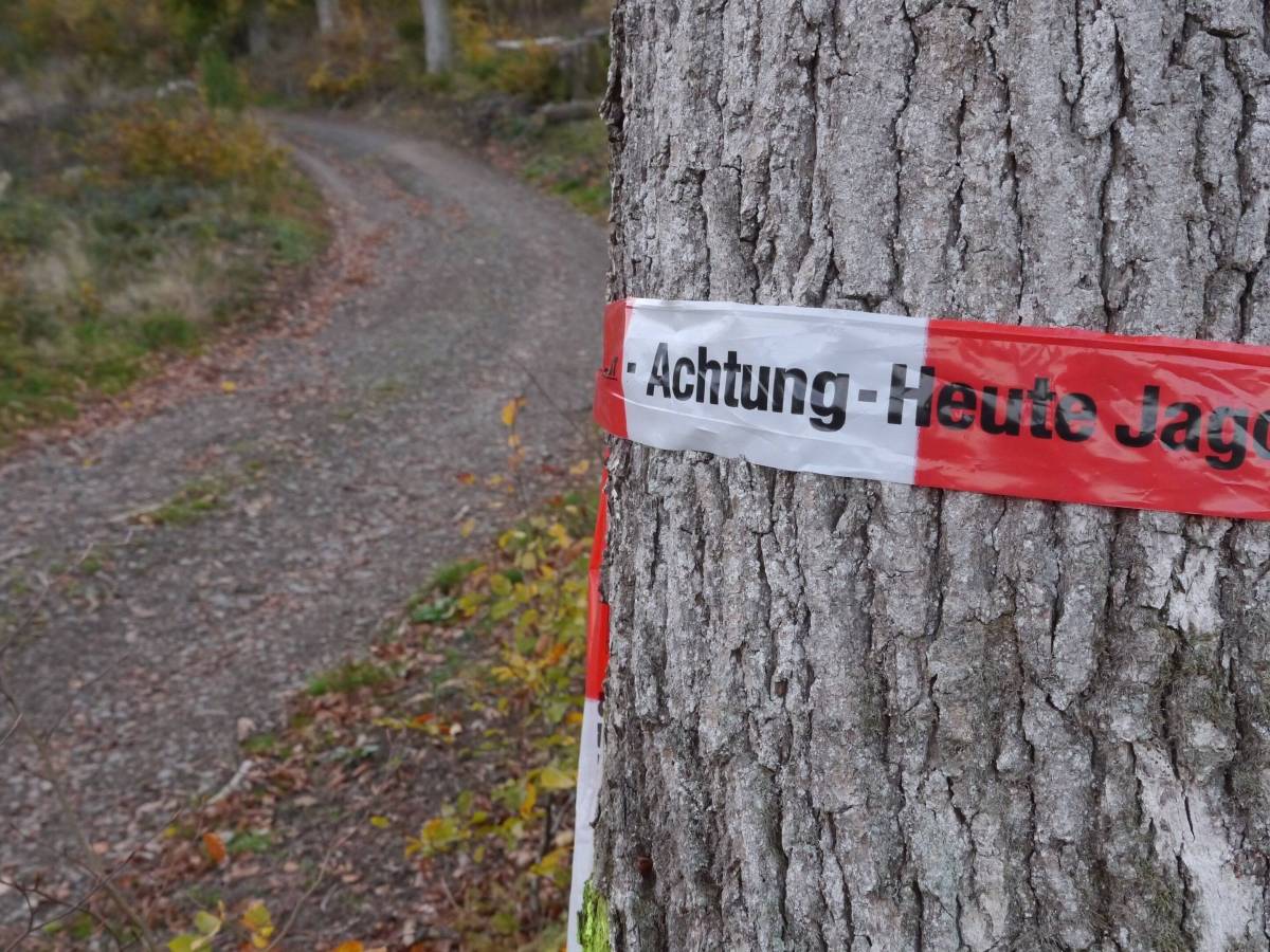 Ein Flatterband an einem Baum warnt vor einer Jagd