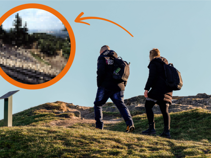 Harz: Jahrelang ging hier nichts â€“ doch jetzt feiert eine beliebte Attraktion ihr Comeback