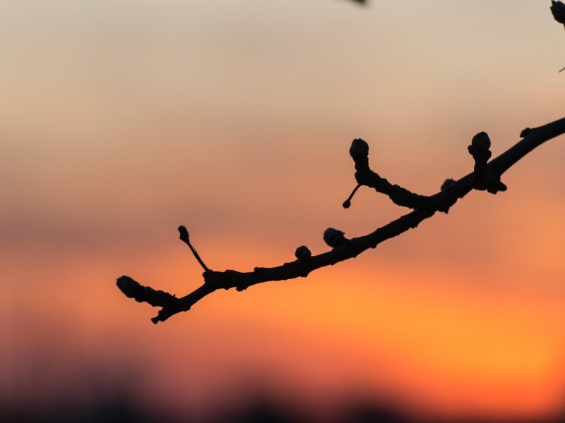 Wetter in Niedersachsen: Alarmstufe rot! Unsere Luft kann dich krank machen
