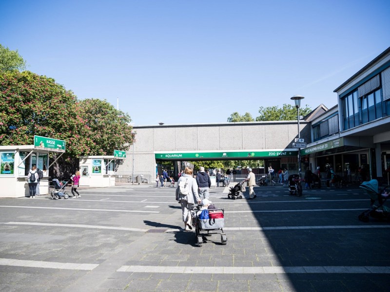 Zoo Hannover: Baby-Alarm in KÃ¶ln! Der Papa ist kein Unbekannter