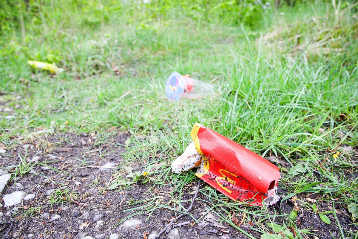 Eine leere rote Schachtel auf dem Waldboden